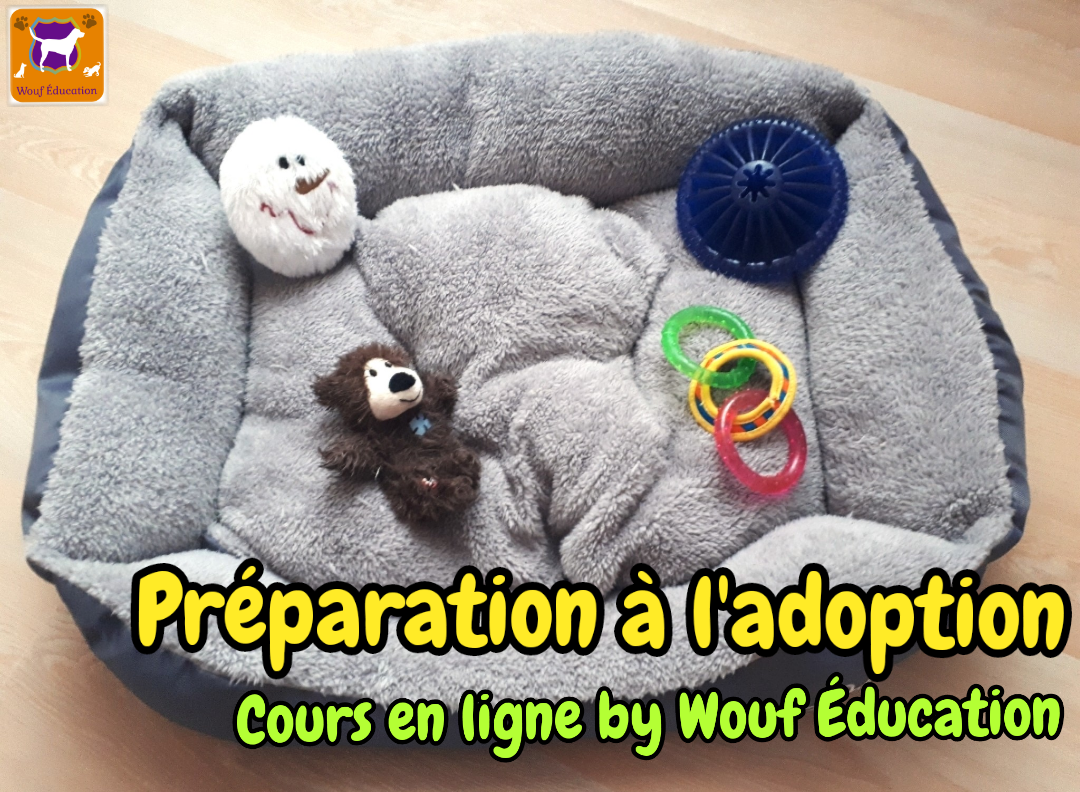 cours de préparation à l'adoption