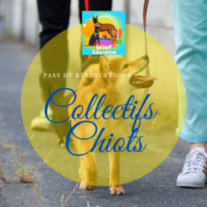 2020/12/1000145277.png Pass 4 collectifs chiots