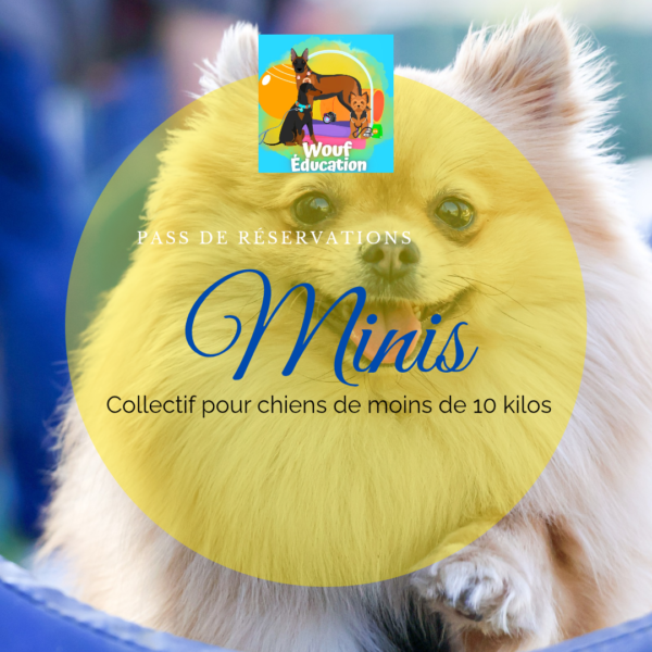 5 collectifs des Minis