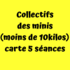 5 collectifs des Minis