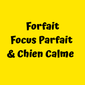 20201209_112223_0000753268472175102391.png Focus Parfait & Chien Calme