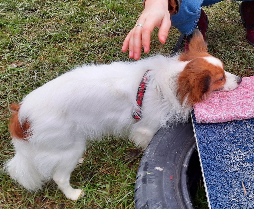 Apprentissage des soins médical training