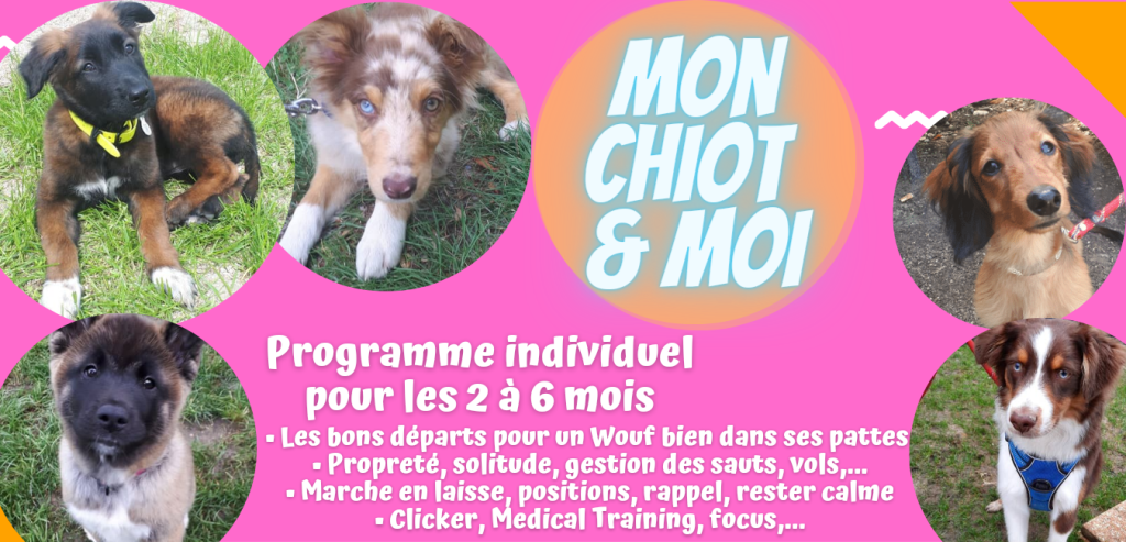 éducateur canin à Reims