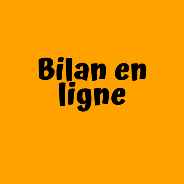 Bilan en ligne
