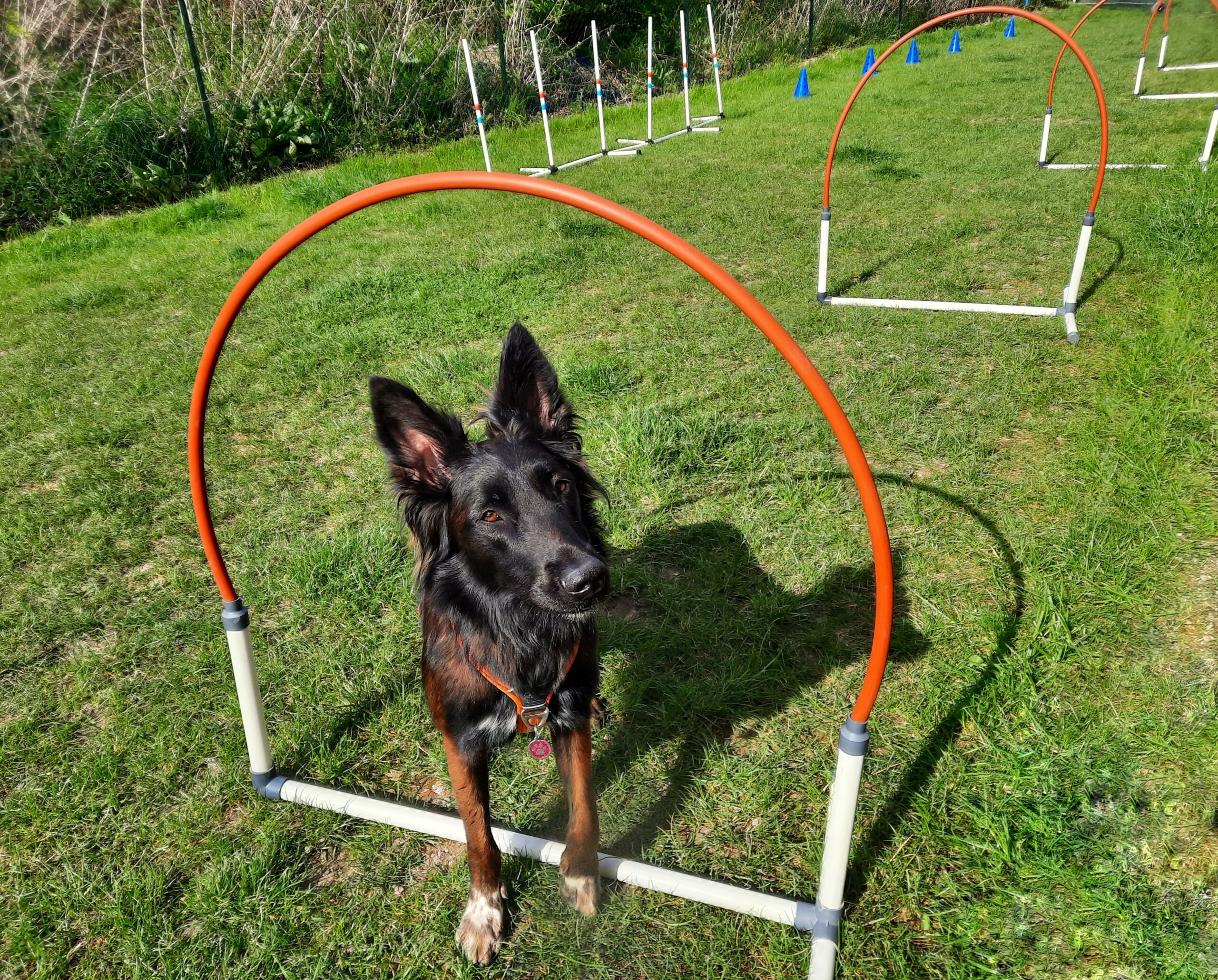 Le Hoopers, c’est quoi ?