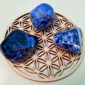 Sodalite Pierre Roulée taille petit galet