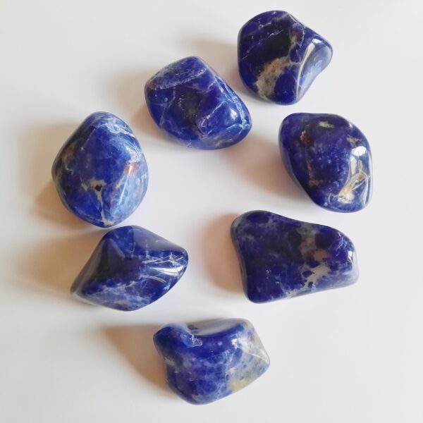 Sodalite Pierre Roulée taille petit galet