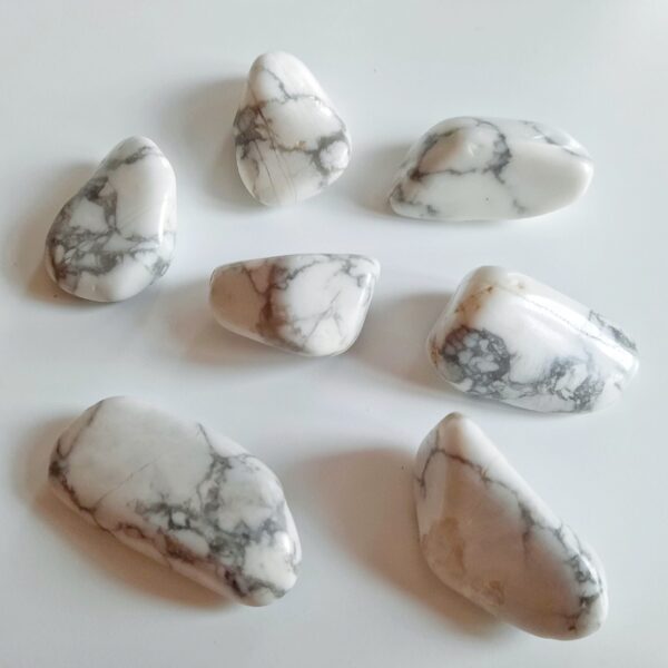 20220119_162702-01 Howlite - Pierre Roulée Instant MinéraW