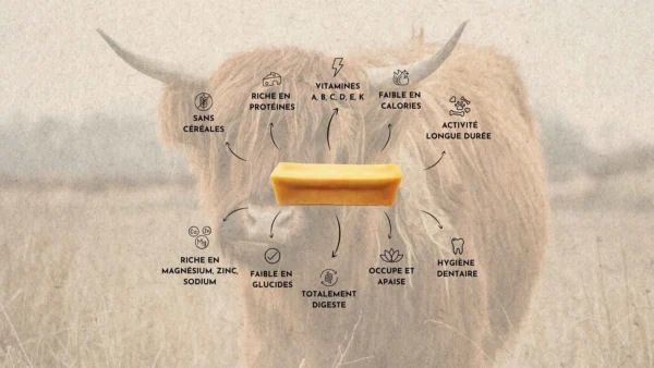 Fromage de yak Truffe Délice