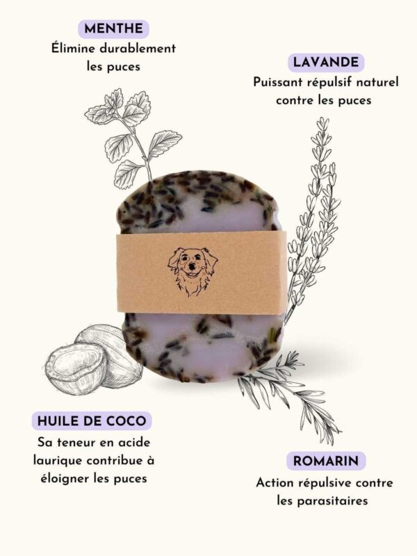 Shampoing anti puce chien Truffe Délice