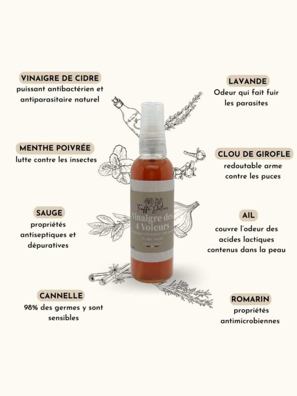Vinaigre des 4 voleurs [Contre les parasites (puces et tiques), beauté du pelage et assainissement de la peau]