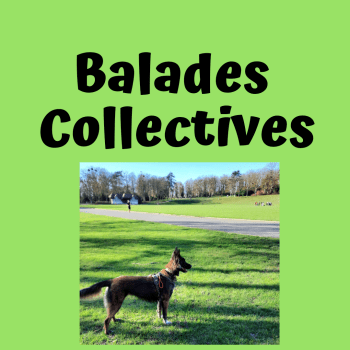 Balade Collective