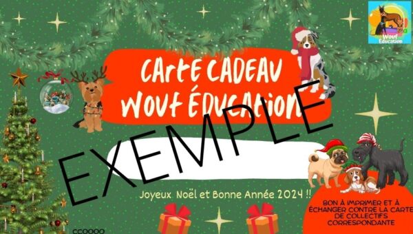 1000040208.jpg Carte cadeau Wouf Éducation