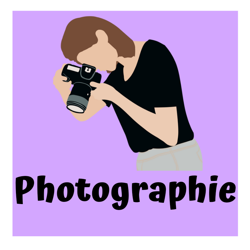 photographe chien et chat