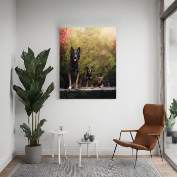 Imprimer photos Reims