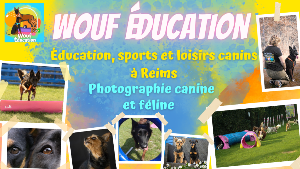 wouf éducation, éducateur comportementaliste canin et photographe à Reims Bétheny