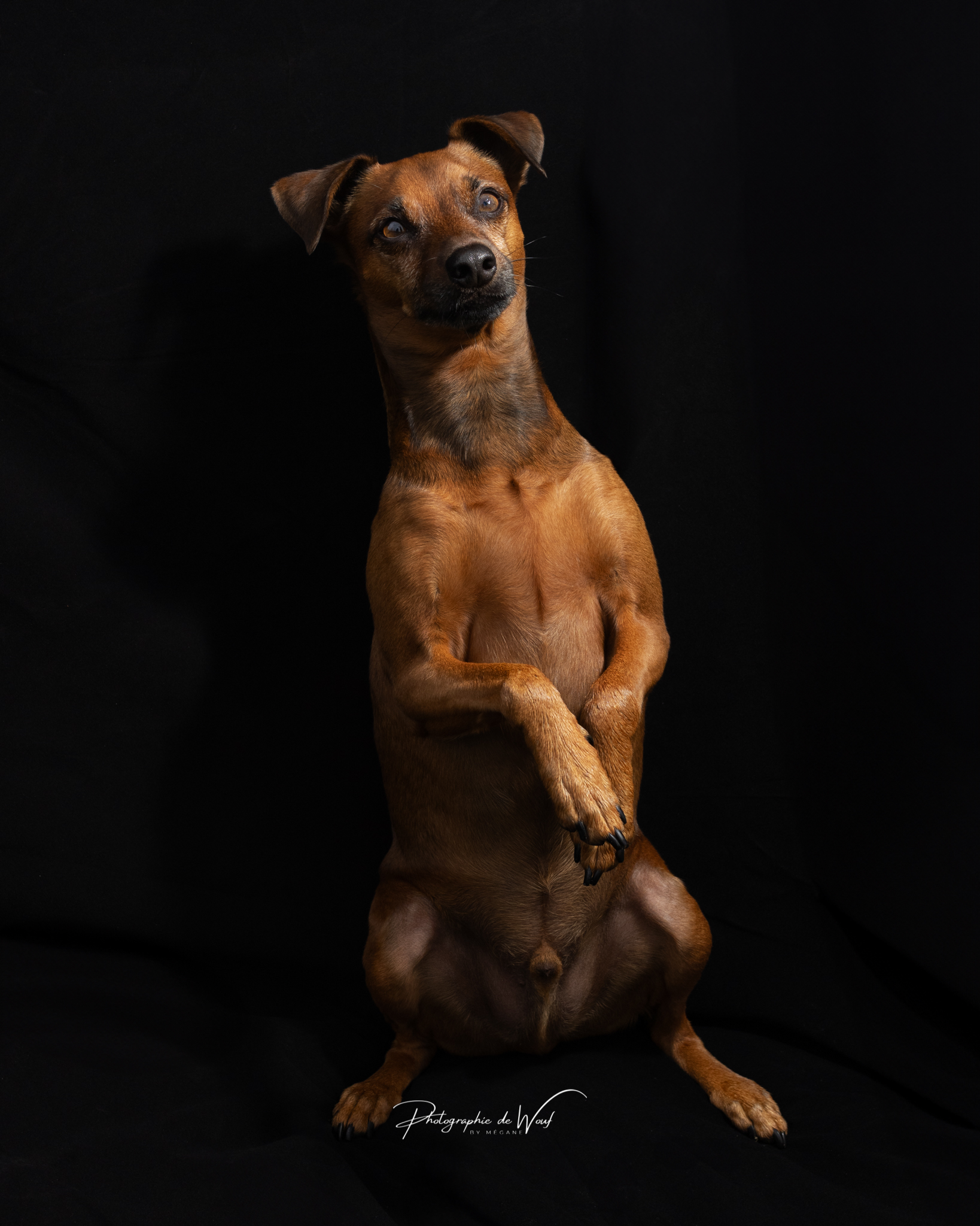 Séance photos "Option Studio" – Image 10