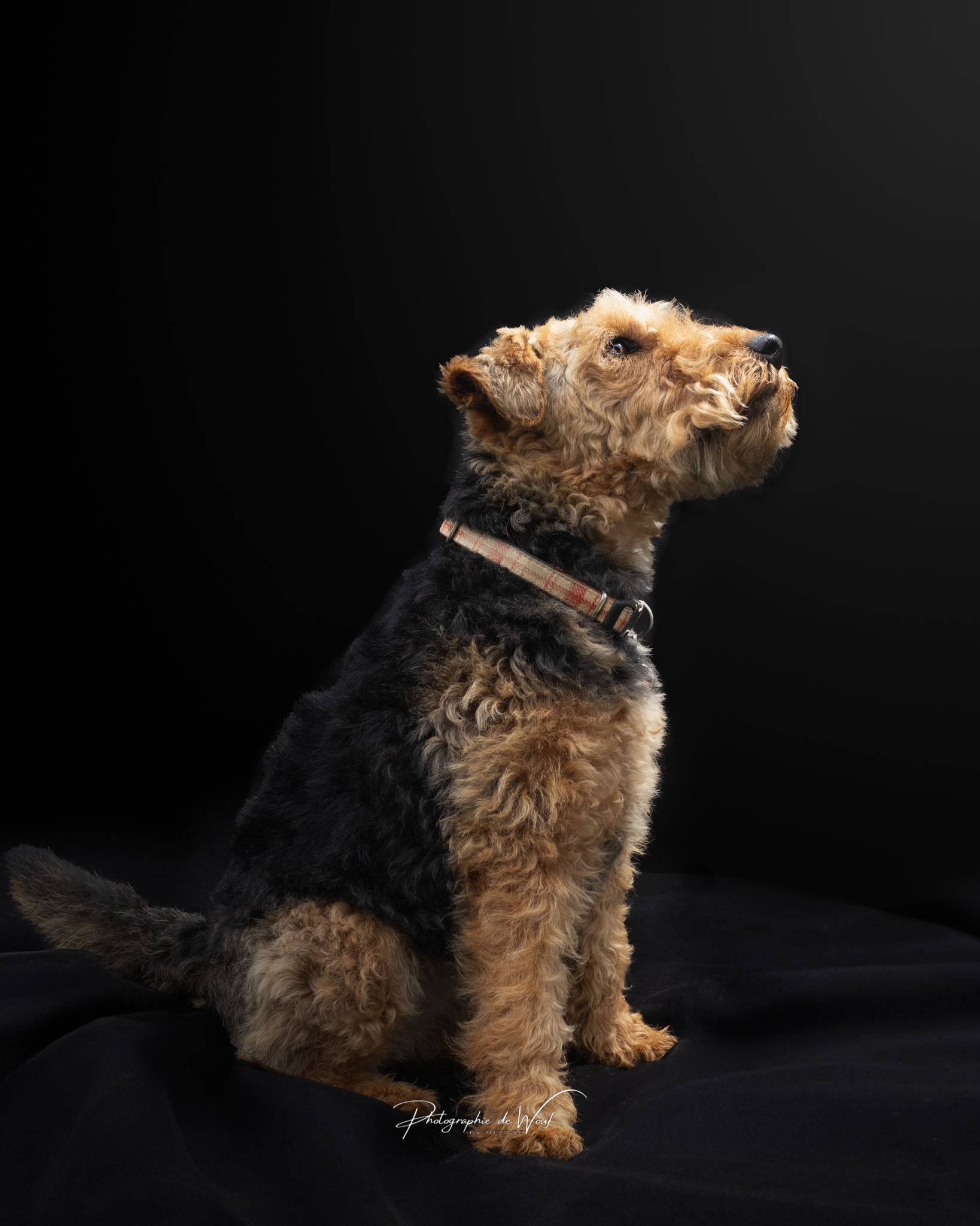 Séance photos "Option Studio" – Image 12