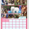 Calendrier Wouf Éducation 2026