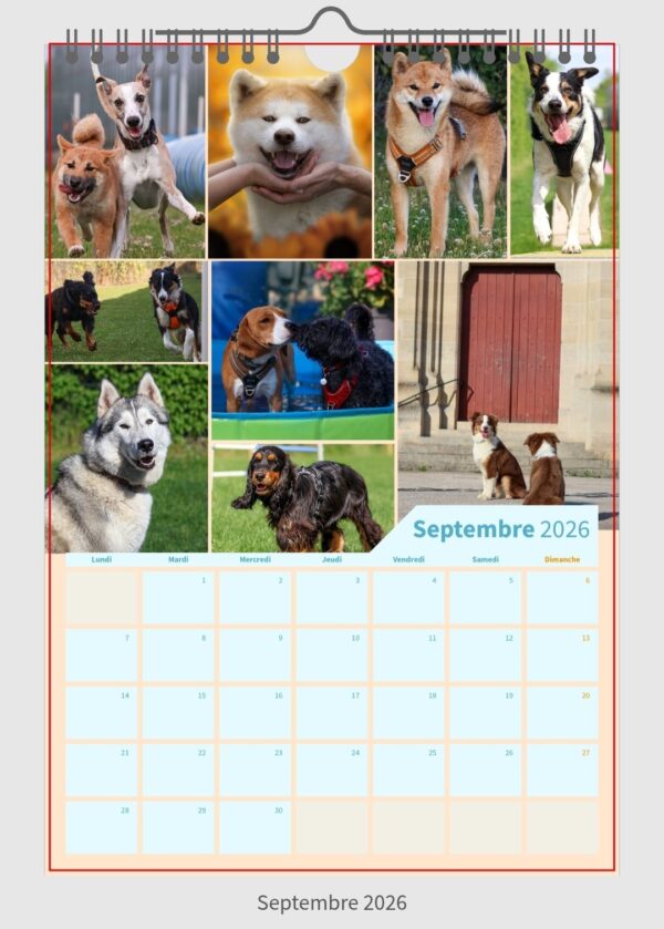Calendrier Wouf Éducation 2026