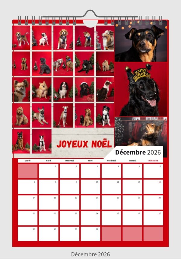 Calendrier Wouf Éducation 2026