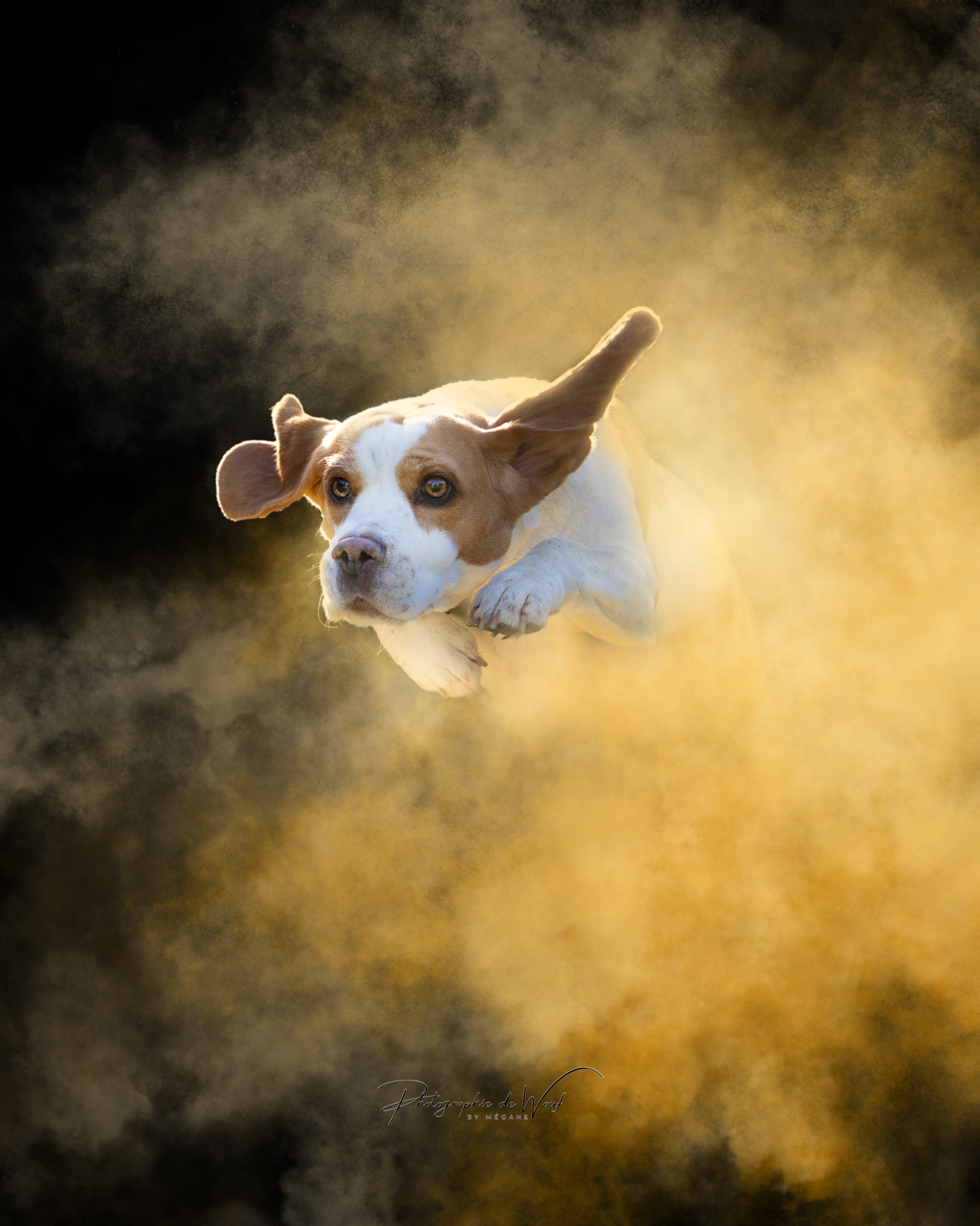 photos avec poudres colorées Reims