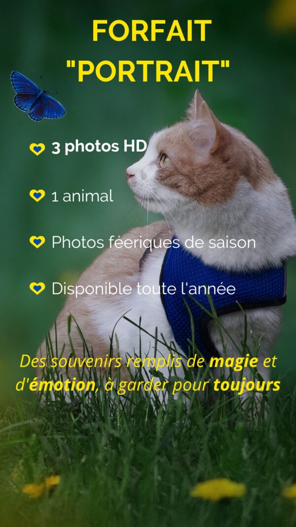 Copie de Story photographie_20250930_172300_0000 Séance photos "Forfait Portrait"