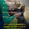 Copie de Story photographie_20250930_173044_0000 Séance photos "Forfait Relation"