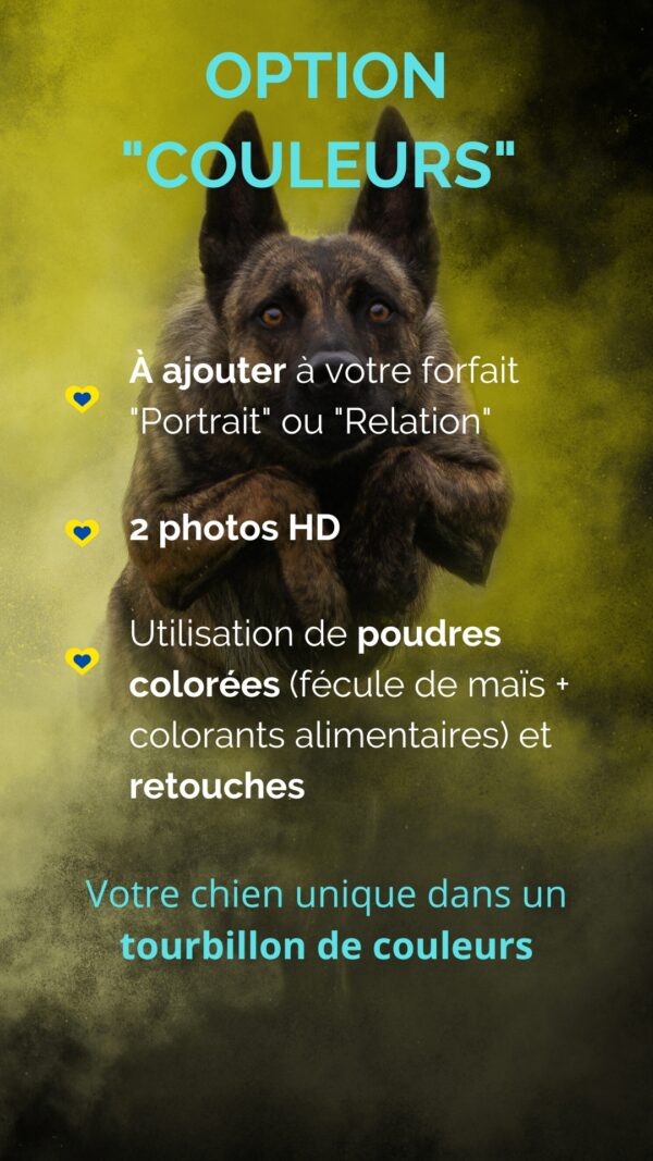 Séance photos "Option Couleurs"
