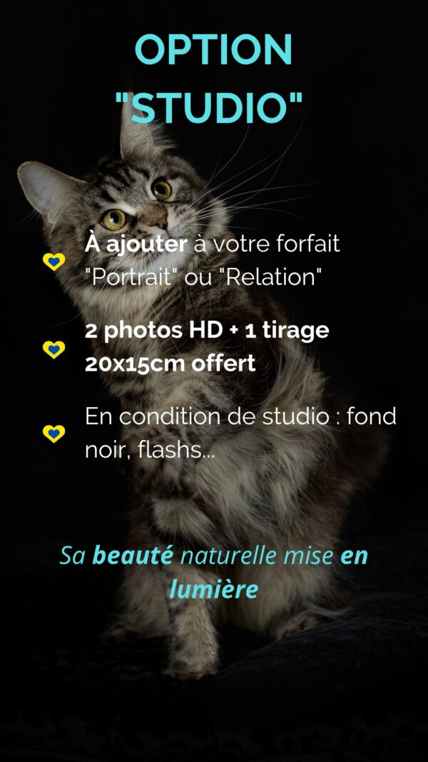 Séance photos "Option Studio"