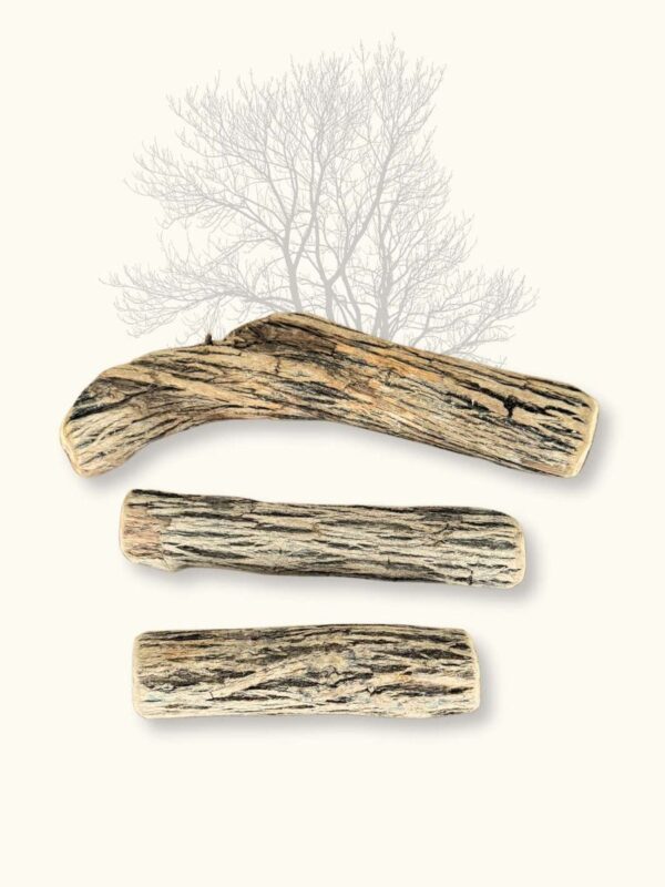 Bois de Sekelbos Truffe Délice