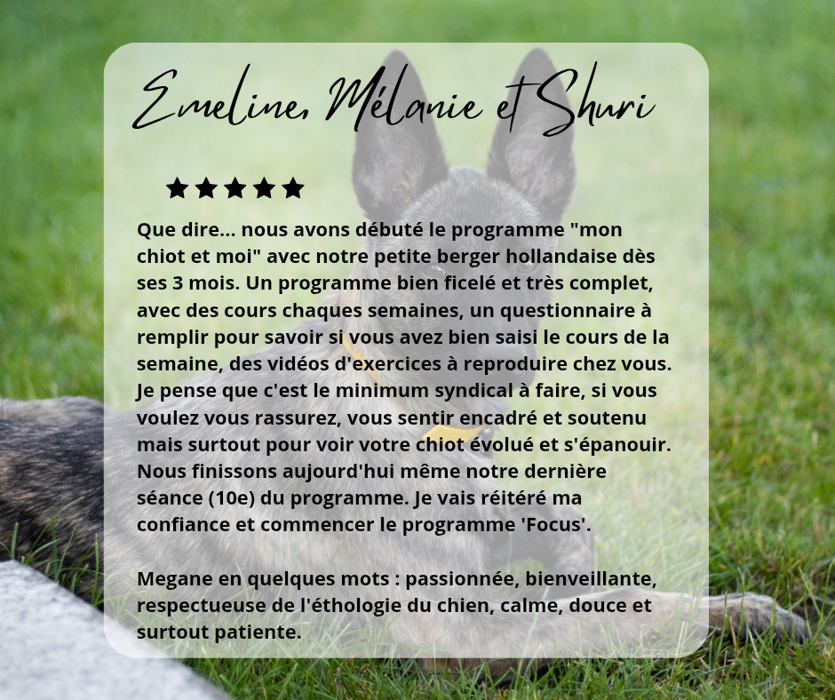 Avis éducateur canin Reims