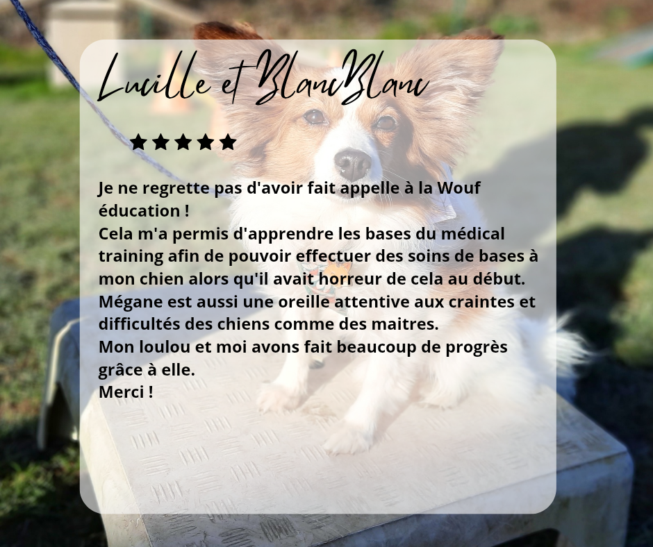 avis éducateur canin Reims