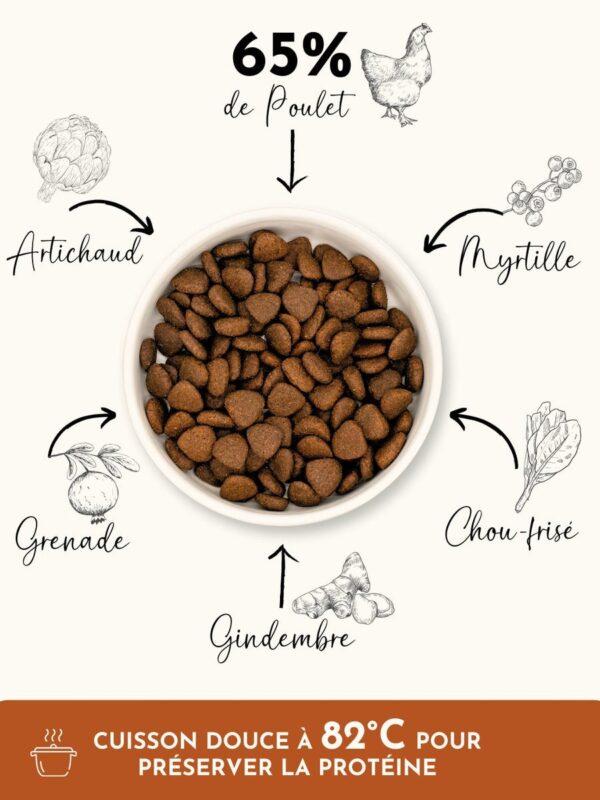 Croquettes chien adulte - Poulet élevé en plein air - SUR COMMANDE - Truffe Délice - 100gr 2kg, 6kg