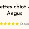 Croquettes chiot - Bœuf Angus - SUR COMMANDE - Truffe Délice - 100gr, 2kg, 6kg