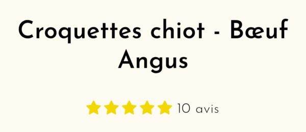 Croquettes chiot - Bœuf Angus - SUR COMMANDE - Truffe Délice - 100gr, 2kg, 6kg