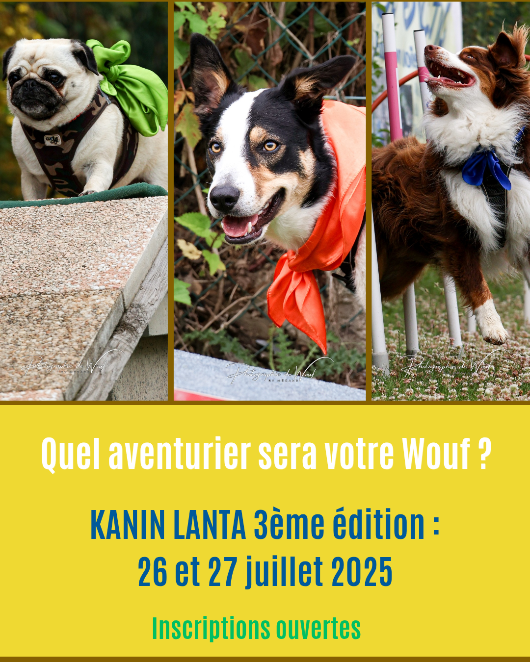 🌴 KANIN LANTA 2025 : Prêt·e pour l’aventure avec votre chien ? 🐾