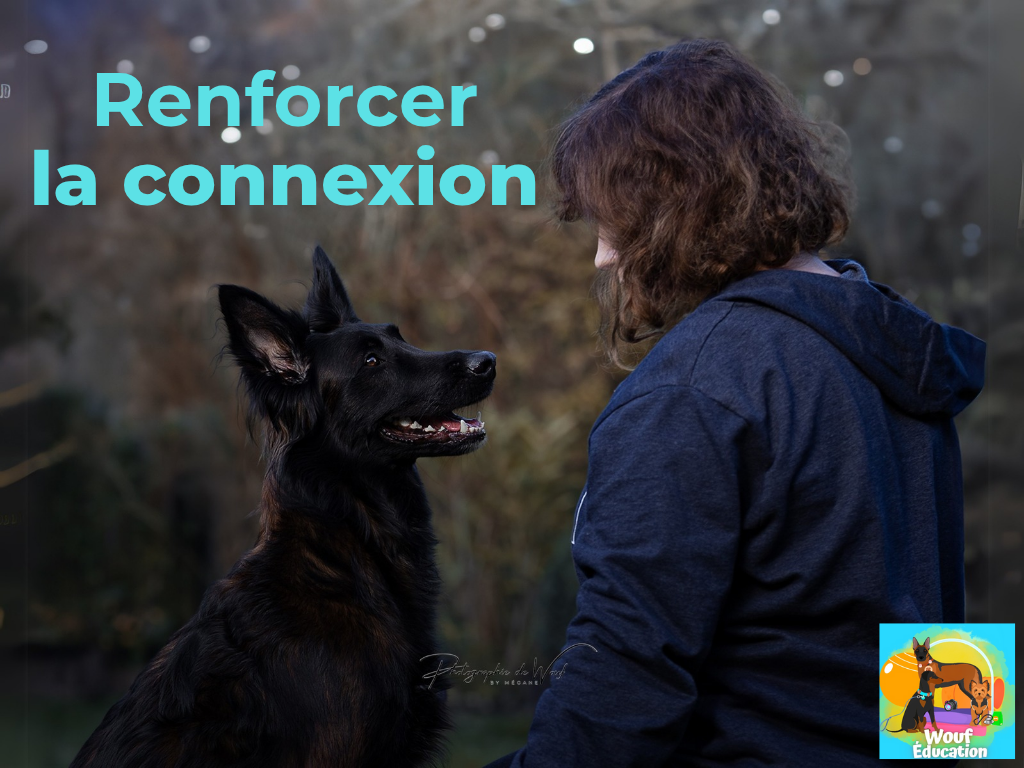 éducateur canin Reims