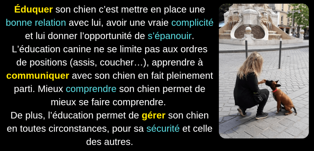 wouf éducation, éducateur comportementaliste canin et photographe à Reims Bétheny