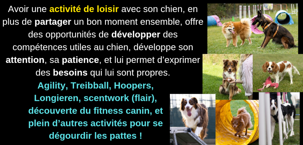 wouf éducation, éducateur comportementaliste canin et photographe à Reims Bétheny