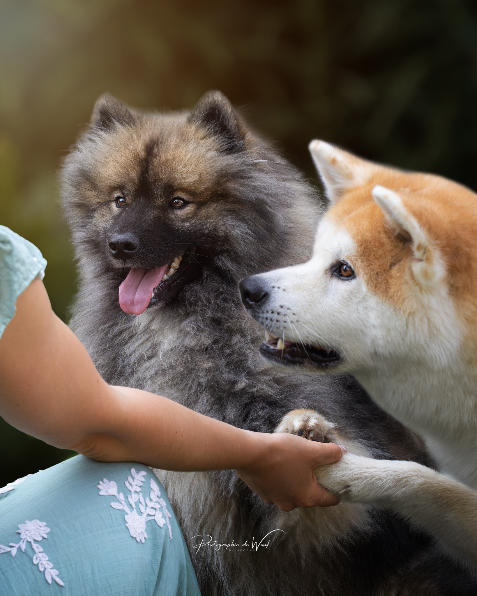 Photographie de Wouf Reims