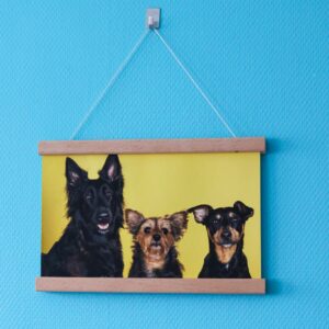 Impression FineArt mat avec support bois 30x20cm