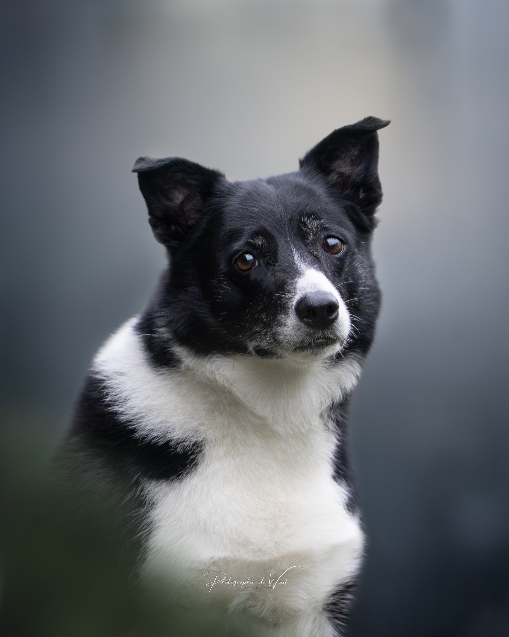 Photographe Reims Marne 51