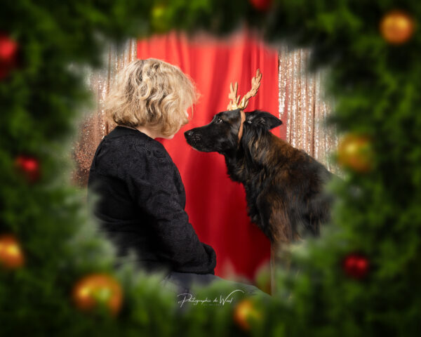 13112025-IMG_8095ps noel photographe chien