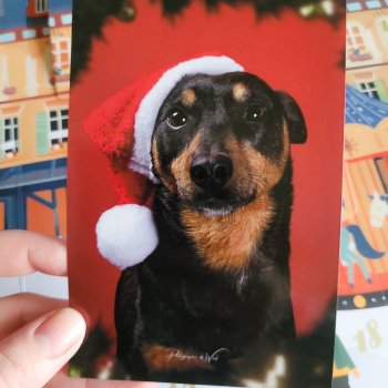 Carte de voeux 10x15cm