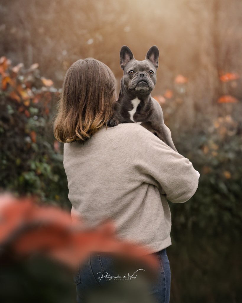 Photographe chien Reims