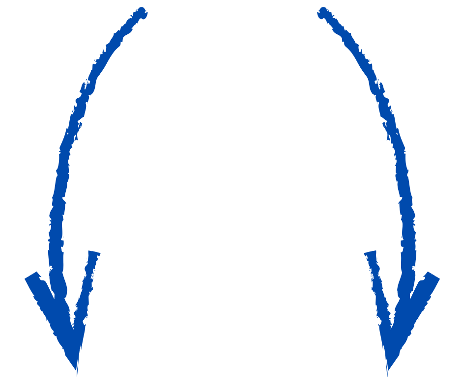 photographe chien et chat à Bétheny