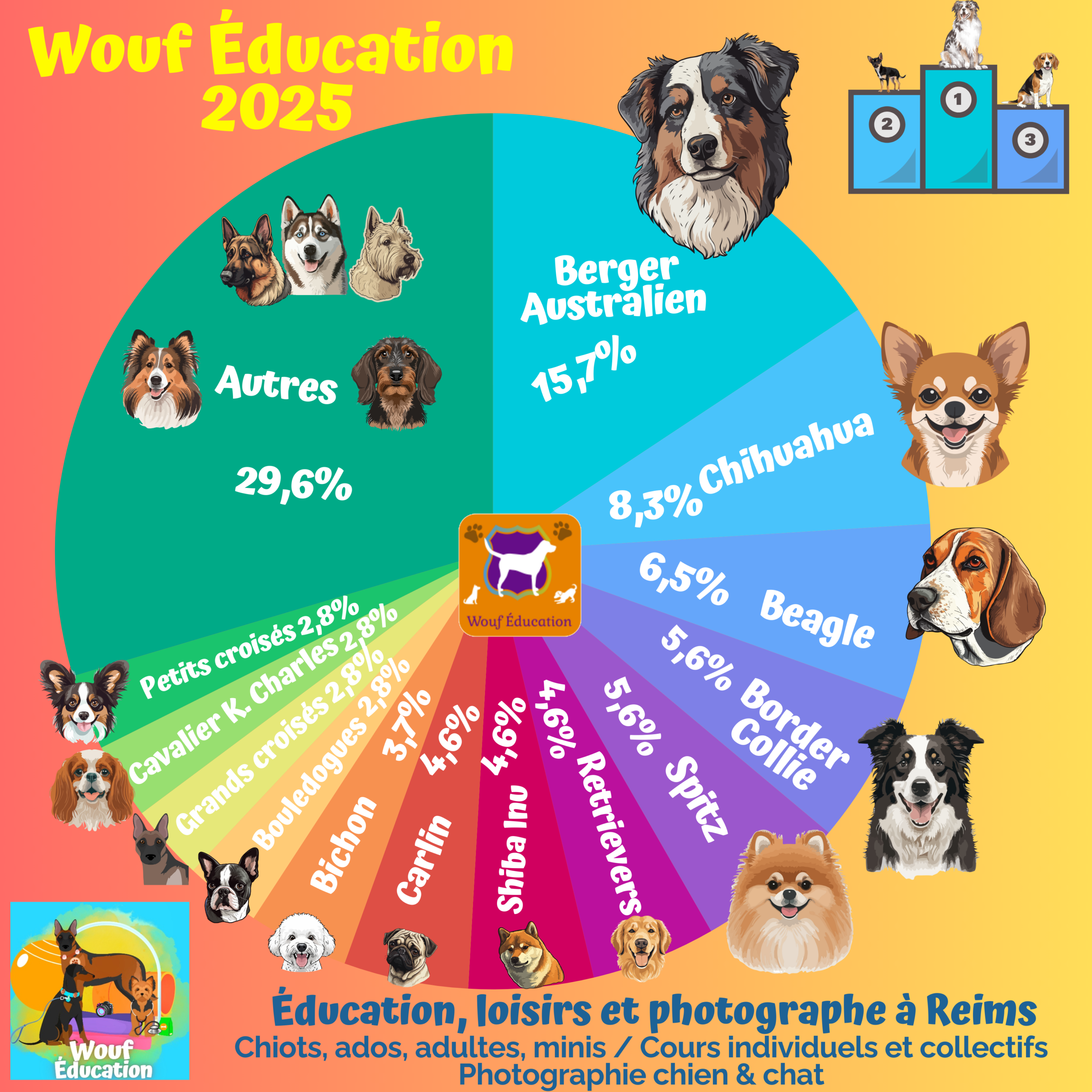 Classement de la population canine Wouf Éducation 2025