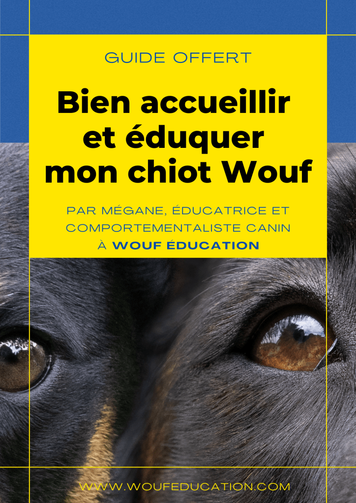 guide offert bien accueillir et éduquer mon chiot à Reims