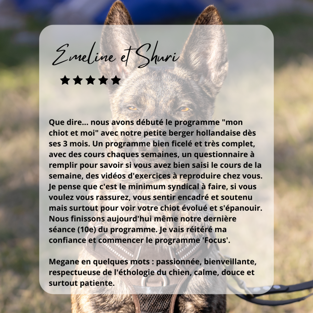avis sur éducateur canin à Reims spécial chiot